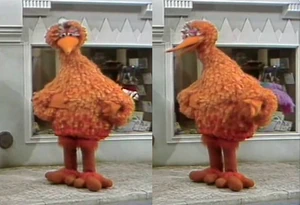 Poupas Body