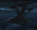 Hecont Tree.jpg