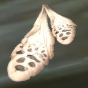 Wasp's Wings