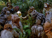 C3PO-Ewoks