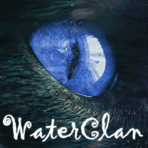Water Clan