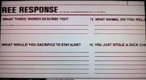 Questionnaire05.jpg