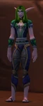 Darnassus Commendation Officer