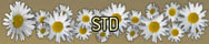 STD title