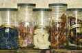 Potion's ingredients 01.jpg