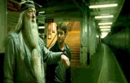 Prof. Dumbledore and Harry Potter's 1st time Side-Along Apparition
