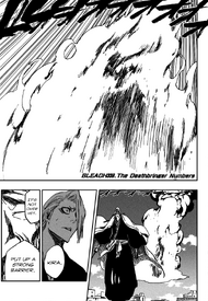 Bleach cover 339