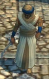Assassin