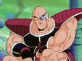 Nappa02