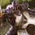 Artanis.jpg