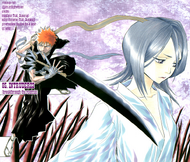C85 cover page