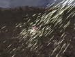 FFVIII 1000 Needles summon