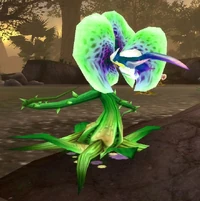 ServantofFreya