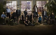 S5cast