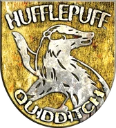 Hufflepuff™ Quidditch™ Badge