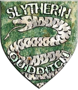 Slytherin™ Quidditch™ Badge