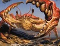 Crusty TCG.jpg