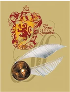 Gryffindor™ Team Quidditch™ Poster - Harry Potter and the Half-Blood Prince™