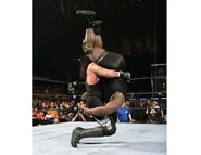 Undertaker WM 22