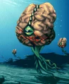 Tentaculat
