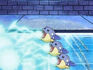 EP578 Spheal usando rayo hielo