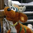 Reindeer-portal.jpg