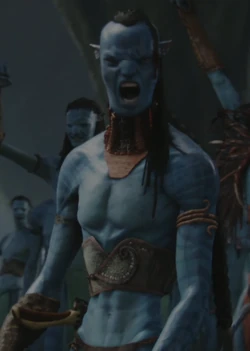 Na'vi portal.PNG