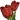 Red Tulip-icon