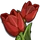 Red Tulip-icon