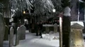 Harry and Hermione at Godric's Hollow cemetery 01.JPG