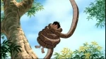 Kaa24