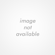 Noimage-big