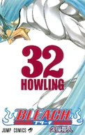 Bleach cover 32