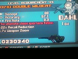 Wildcat