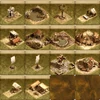 Box Bonus buildings