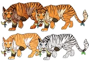 Trolltiger2