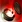 Ico healing salve
