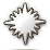 Medal white (15)