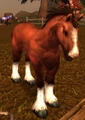 Havenshire Mare.jpg