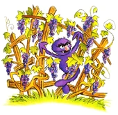 Manycolorspurple