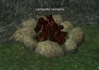 Campsite remains.jpg