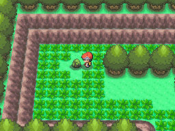 Diamond-Pearl Eterna Forest 3