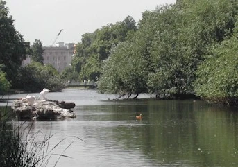 St James's Park view2.jpg