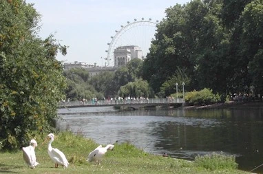 St James's Park view.jpg