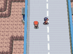 Diamond-Pearl Route 206 1