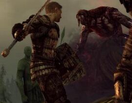 Pinchofashes