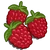 Raspberry-icon