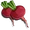 Sweet Beets-icon.png