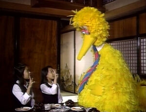 Bigbird-ichinisan
