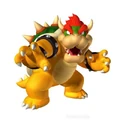 Normal bowser.jpg